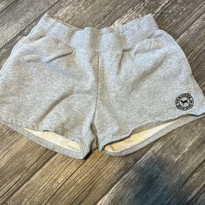 Gray Black Dog fleece shorts